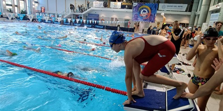 Powiększ grafikę: pływaczka na słupku startowym basenu gotowa do skoku, w basenie pływający zawodnicy
