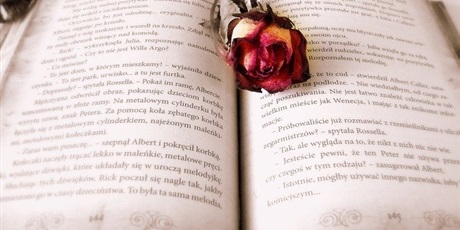 Powiększ grafikę: zasuszona róża położona na otwartej książce